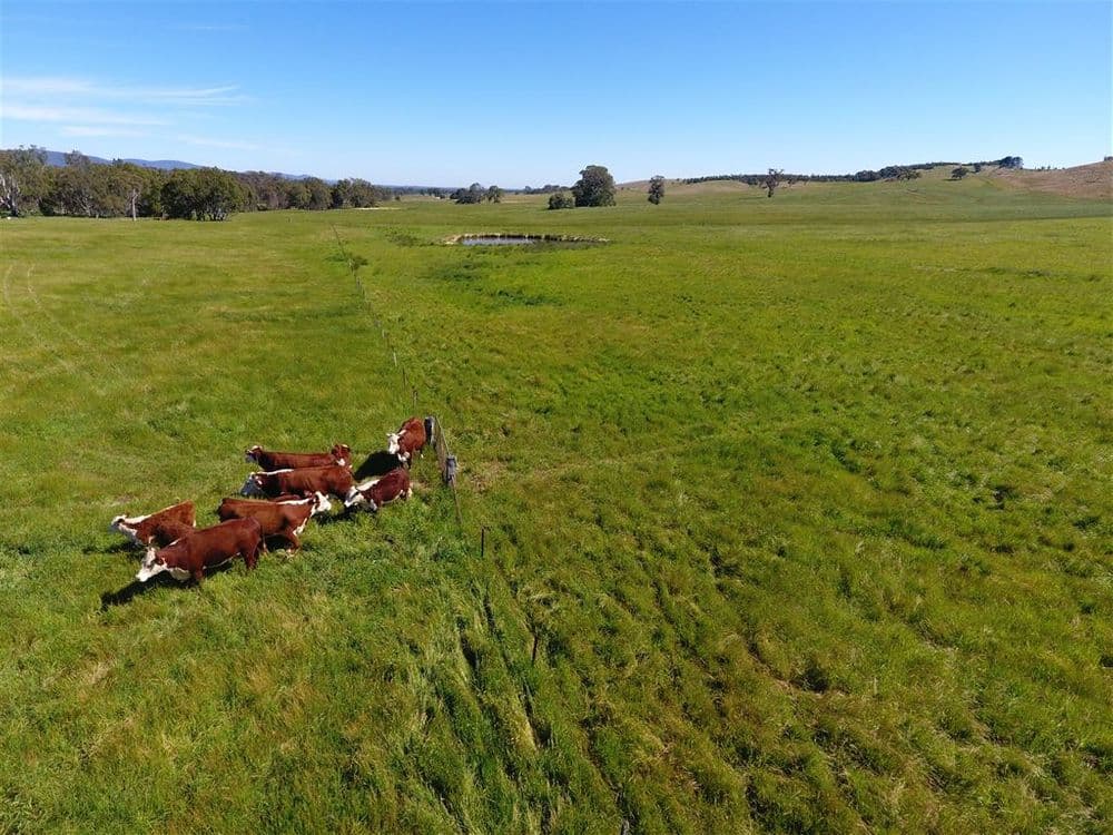 . Greenhill Creek Road, Lexton, VIC 3352, Lexton - Thumbnail 2