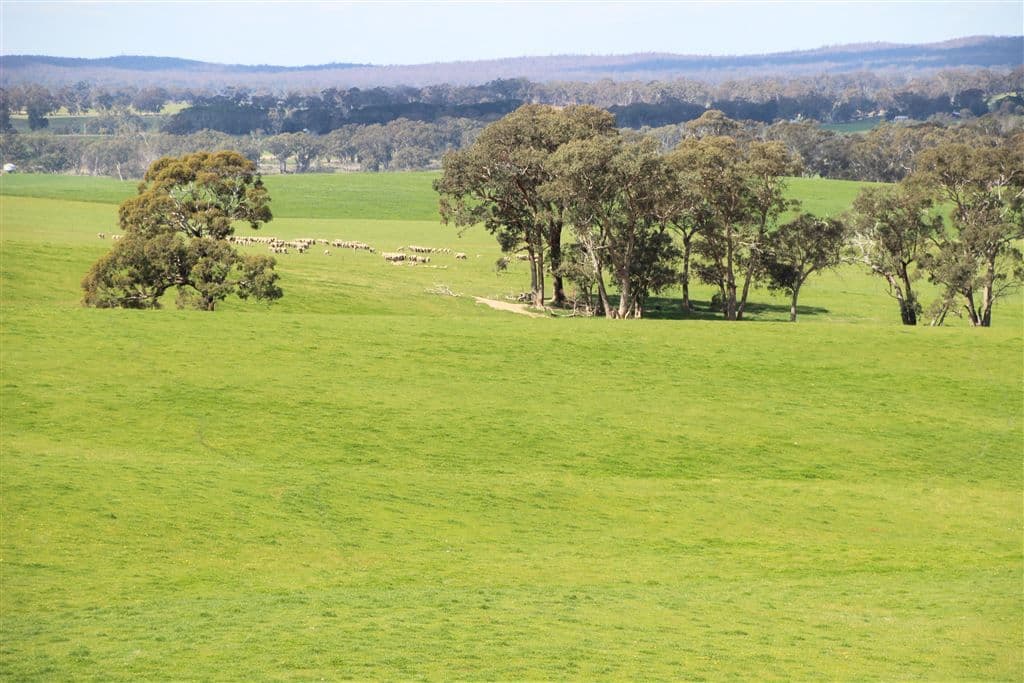 . Greenhill Creek Road, Lexton, VIC 3352, Lexton - Thumbnail 4