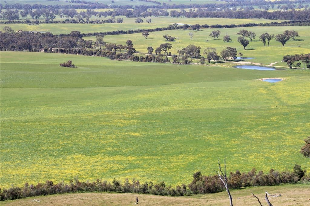 . Greenhill Creek Road, Lexton, VIC 3352, Lexton - Thumbnail 6