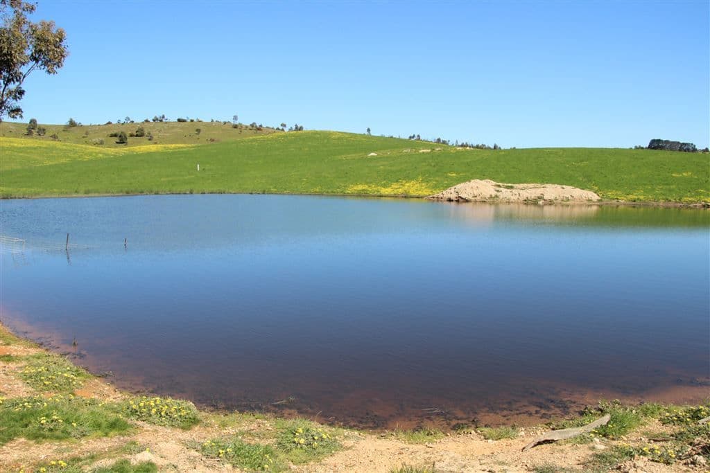 . Greenhill Creek Road, Lexton, VIC 3352, Lexton - Thumbnail 7
