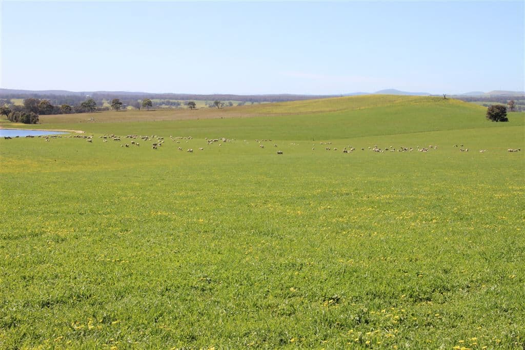 . Greenhill Creek Road, Lexton, VIC 3352, Lexton - Thumbnail 8