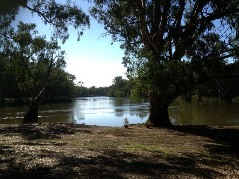 479 Brimin Road, Brimin, VIC 3685, Brimin - Thumbnail 2