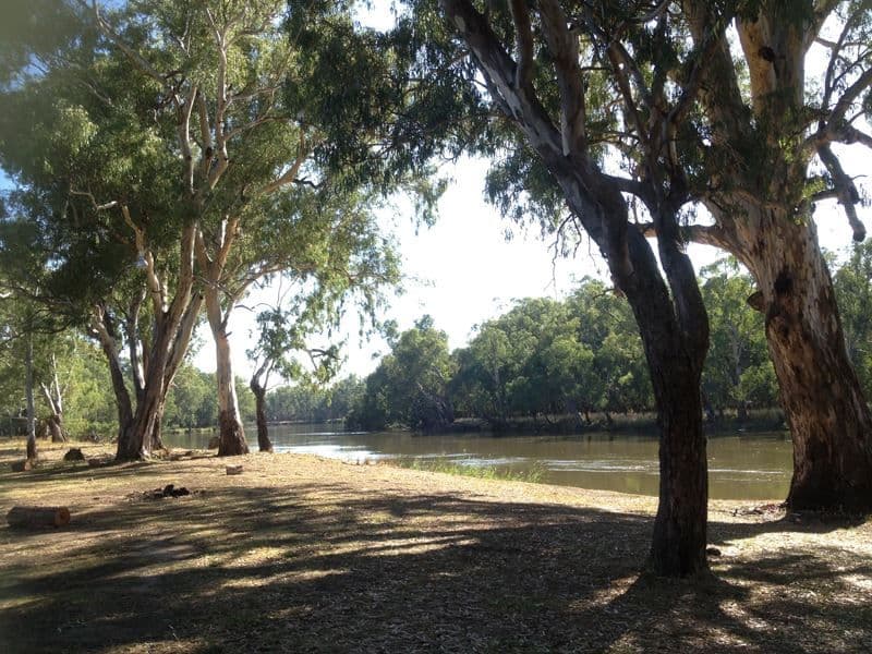 479 Brimin Road, Brimin, VIC 3685, Brimin - Thumbnail 3