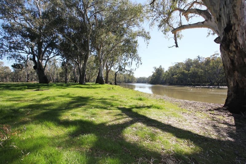 479 Brimin Road, Brimin, VIC 3685, Brimin - Thumbnail 4