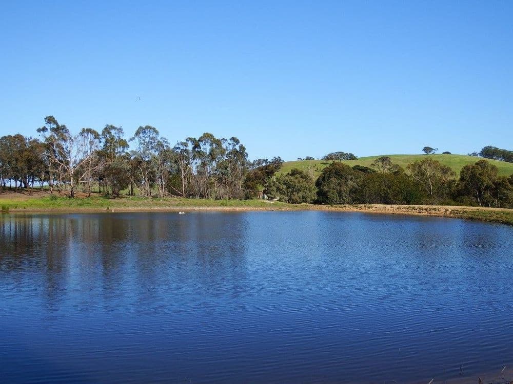 155 Stockdale Road, Wallan, VIC 3756, Wallan - Thumbnail 6