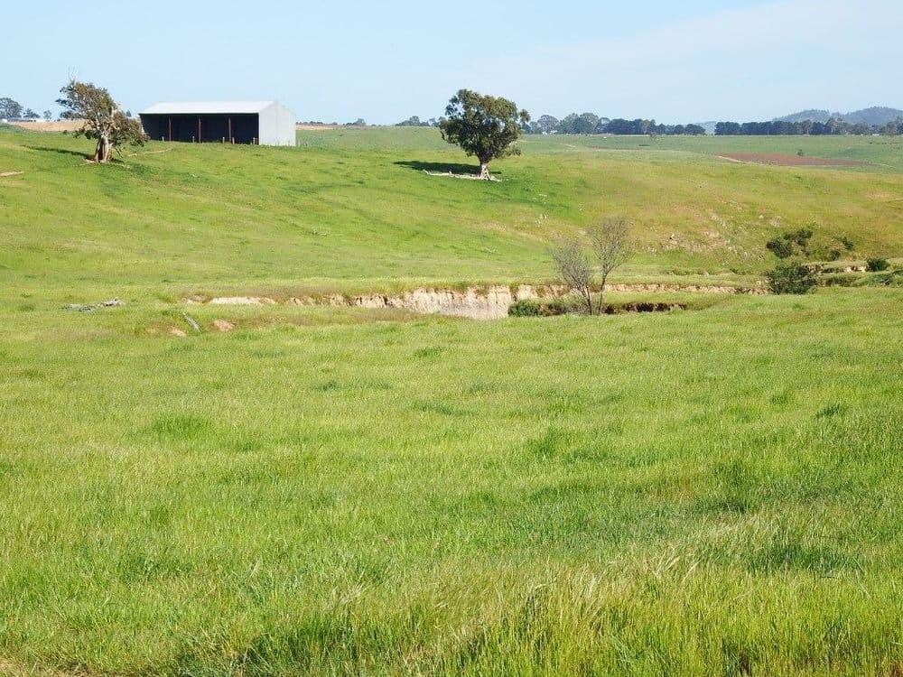 155 Stockdale Road, Wallan, VIC 3756, Wallan - Thumbnail 7