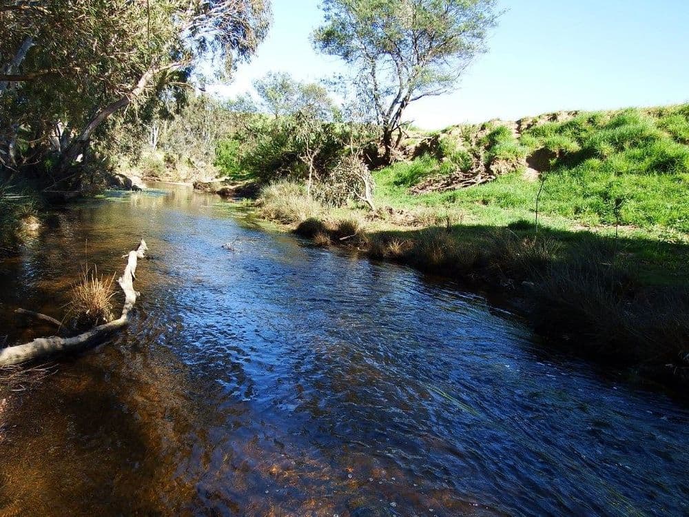 155 Stockdale Road, Wallan, VIC 3756, Wallan - Thumbnail 8