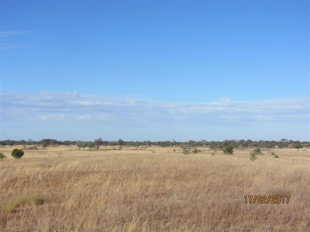 * Mount Kew, Wilcannia, NSW 2836, Wilcannia - Image 1