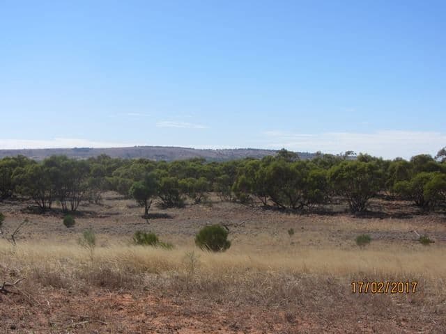 * Mount Kew, Wilcannia, NSW 2836, Wilcannia - Thumbnail 5