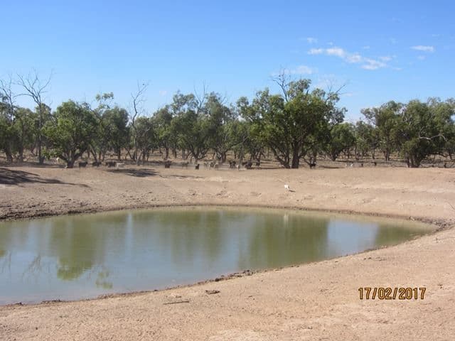 * Mount Kew, Wilcannia, NSW 2836, Wilcannia - Thumbnail 6