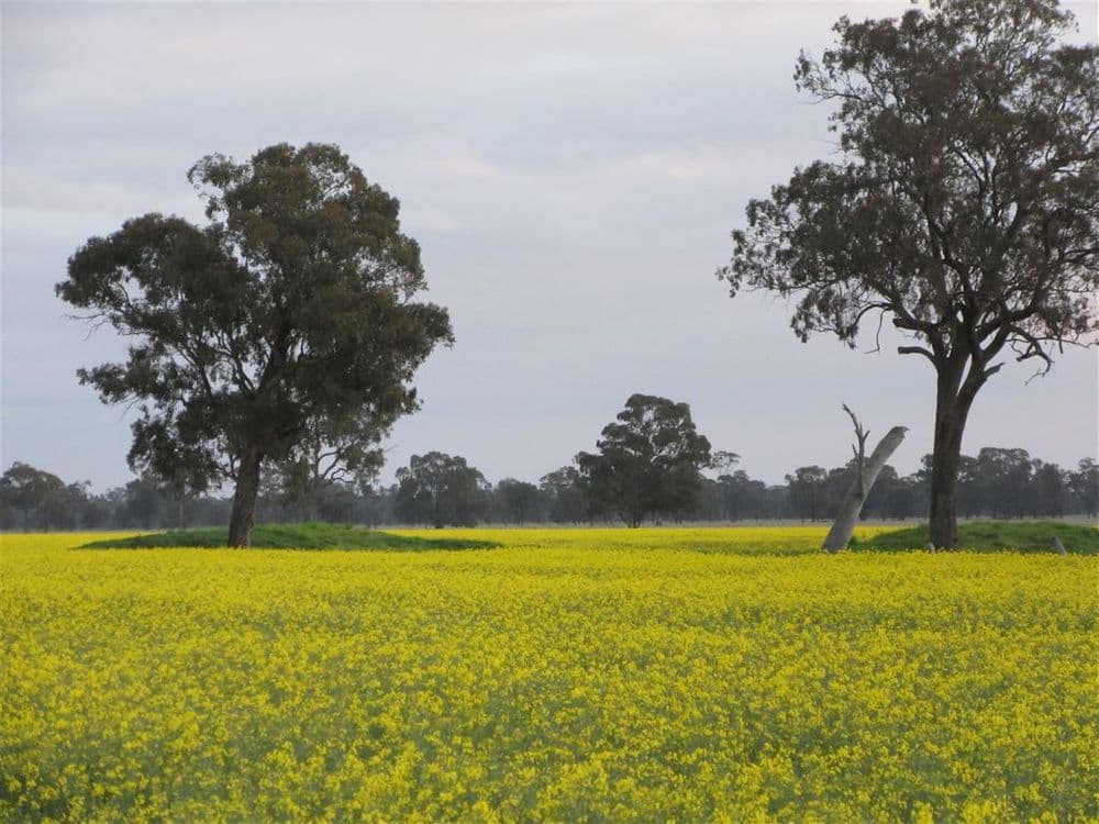 2012 Angle Road, Molka, VIC 3666, Molka - Thumbnail 2