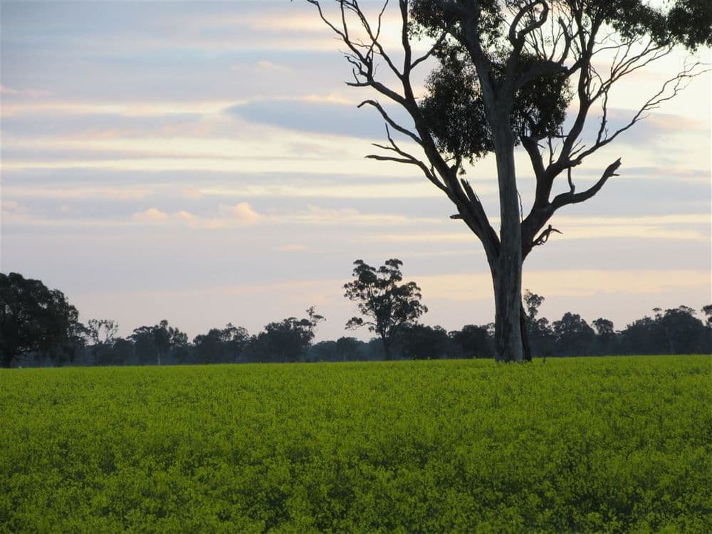 2012 Angle Road, Molka, VIC 3666, Molka - Thumbnail 6