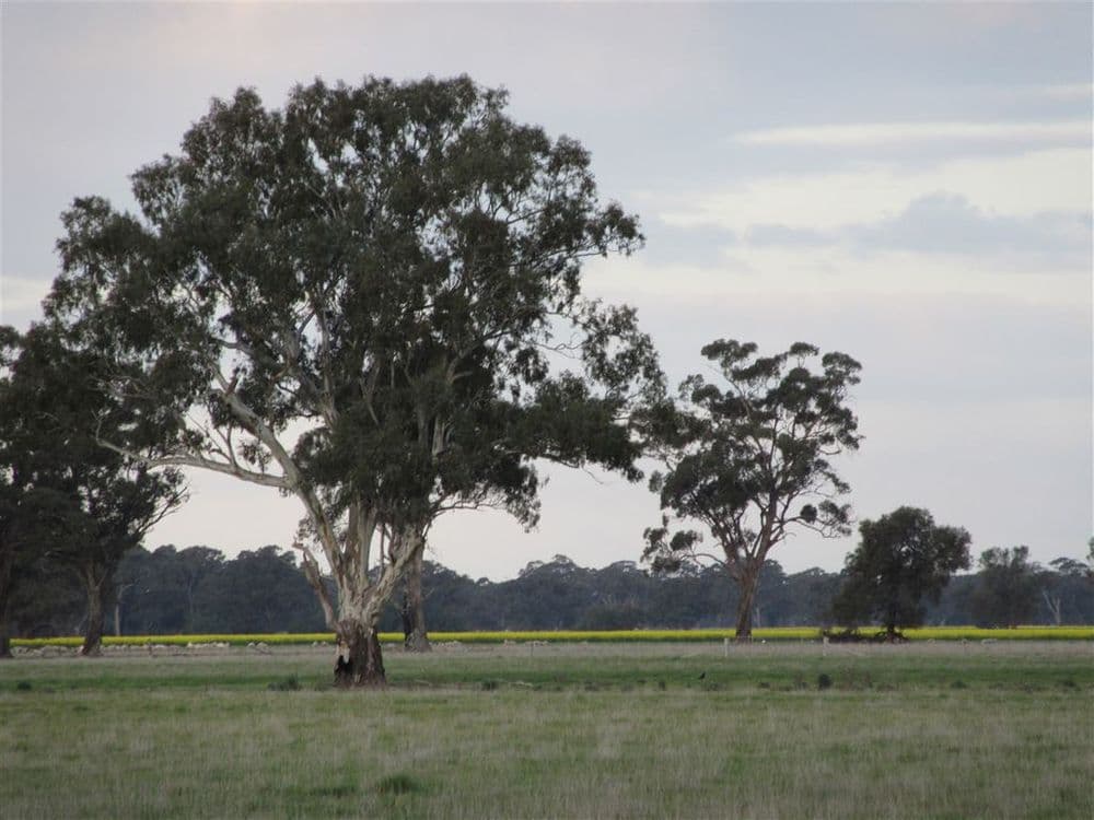 2012 Angle Road, Molka, VIC 3666, Molka - Thumbnail 7