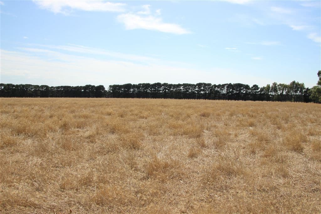 200 Coatsworth Road, Portarlington, VIC 3223, Portarlington - Thumbnail 8
