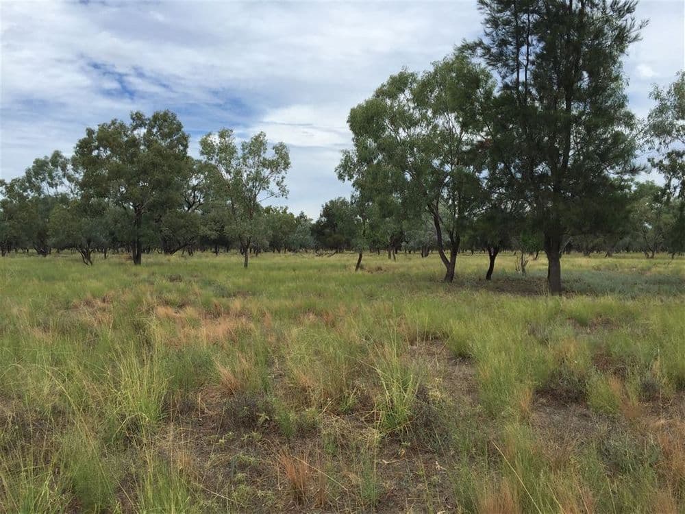 Nyngan NSW, Nyngan - Thumbnail 7