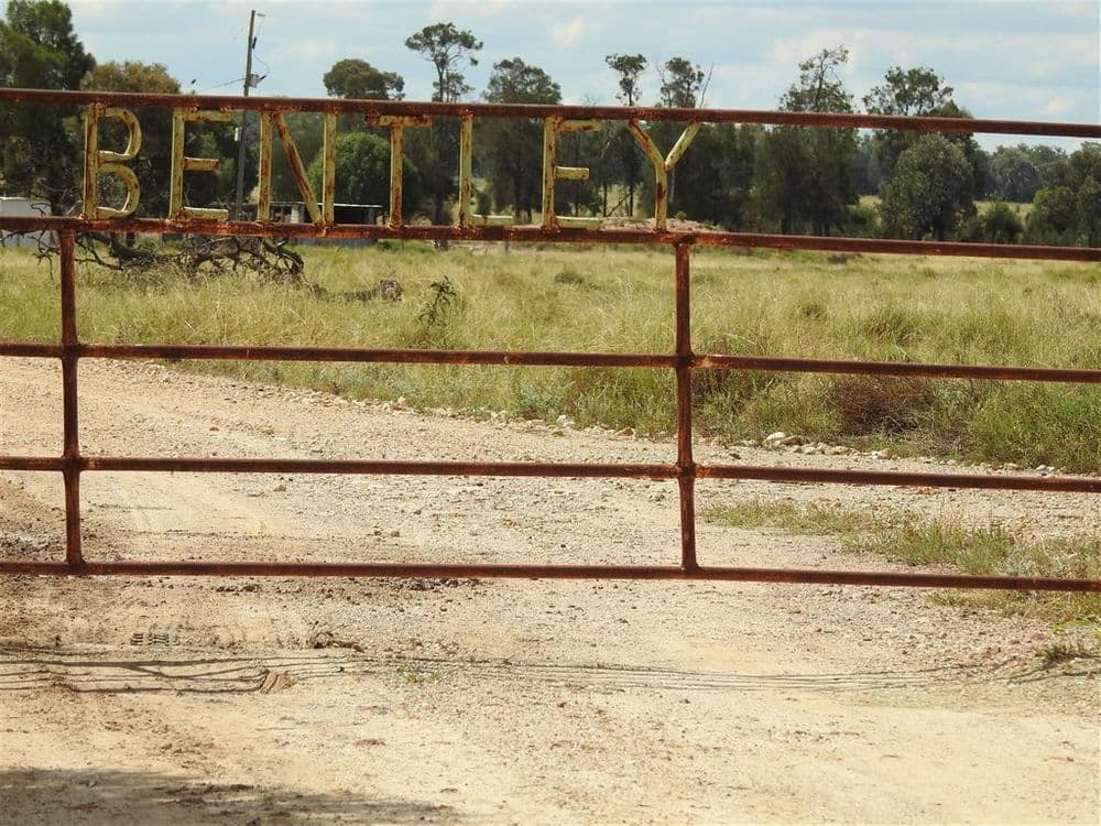 Condamine QLD, Condamine - Image 1