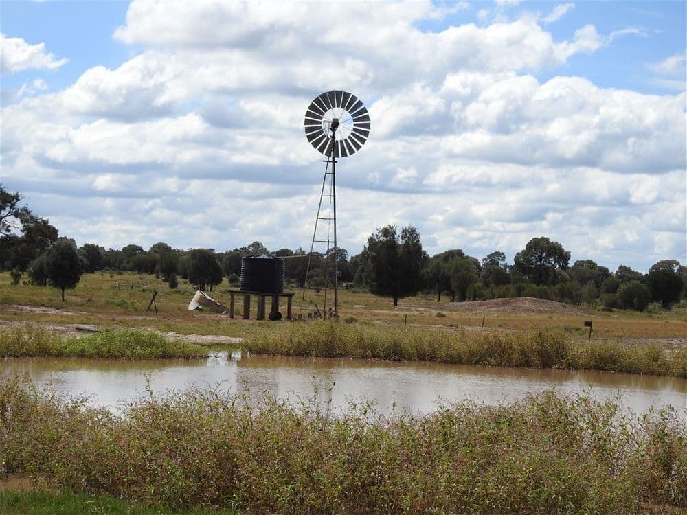 Condamine QLD, Condamine - Thumbnail 6