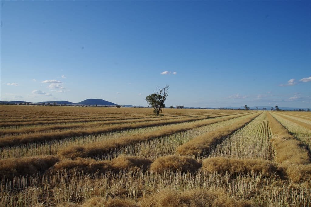 82 Shaws Road, Gunnedah, NSW 2380, Emerald Hill - Thumbnail 2