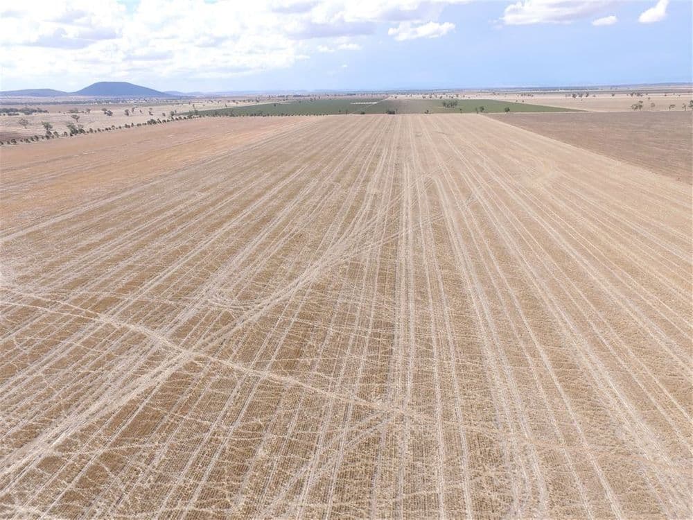 82 Shaws Road, Gunnedah, NSW 2380, Emerald Hill - Thumbnail 5