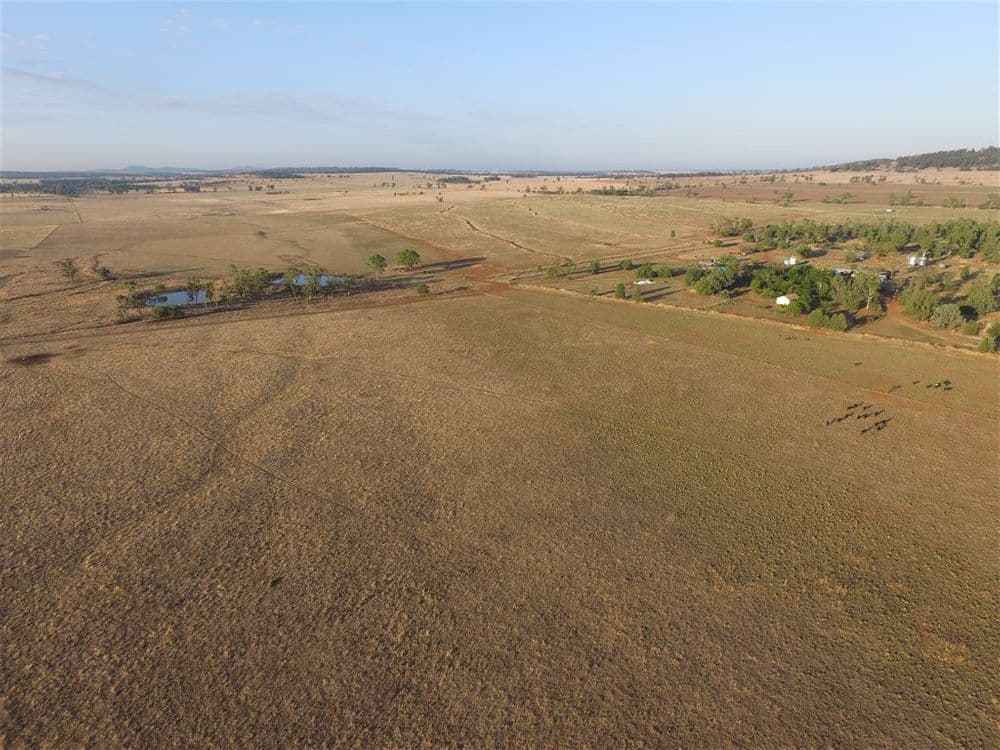 82 Shaws Road, Gunnedah, NSW 2380, Emerald Hill - Thumbnail 6