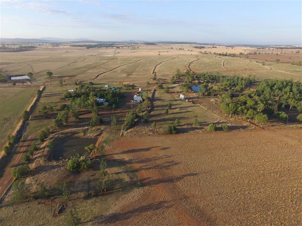82 Shaws Road, Gunnedah, NSW 2380, Emerald Hill - Thumbnail 7