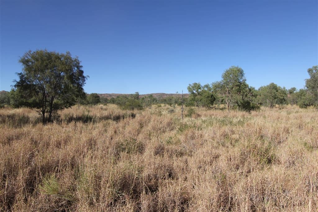 " Coniston Station", Alice Springs, NT 0870, Alice Springs - Thumbnail 4