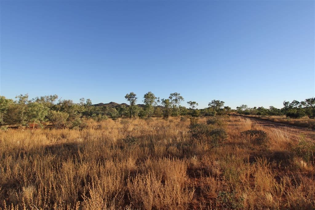 " Coniston Station", Alice Springs, NT 0870, Alice Springs - Thumbnail 7