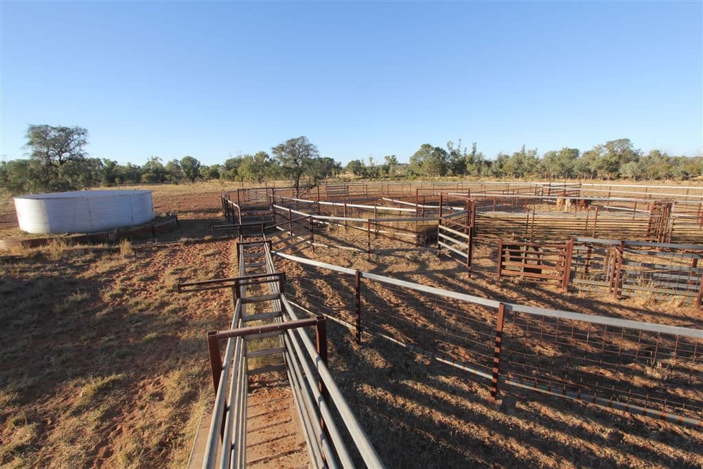 " Coniston Station", Alice Springs, NT 0870, Alice Springs - Thumbnail 8