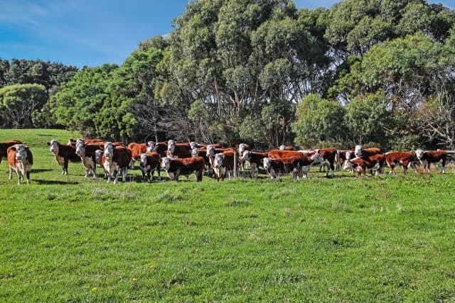 1080 Buffalo-Waratah Road, Tarwin Lower, VIC 3956, Tarwin Lower - Image 1