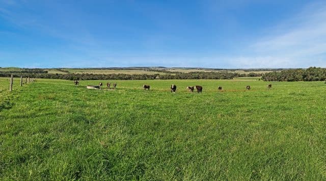 1080 Buffalo-Waratah Road, Tarwin Lower, VIC 3956, Tarwin Lower - Thumbnail 6