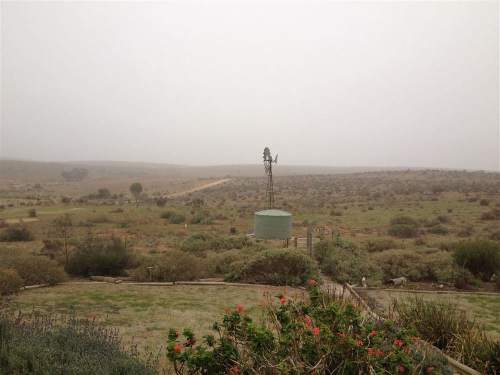 1351 Goyder Highway, Burra, SA 5417, Burra - Thumbnail 6
