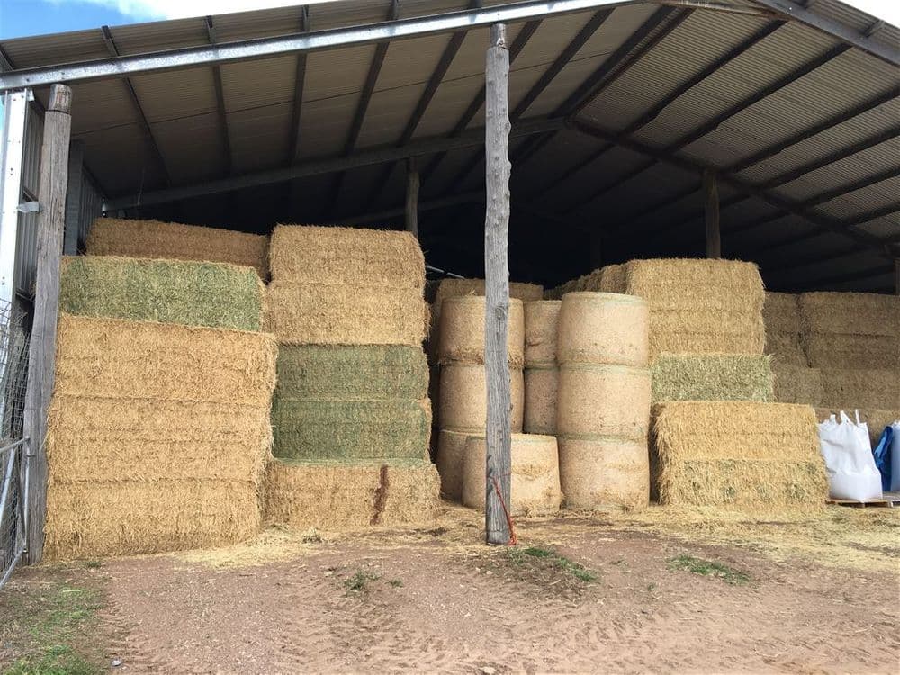 931 'Mullamuddy Farm' Castlereagh Highway, Mudgee, NSW 2850, Mudgee - Thumbnail 4