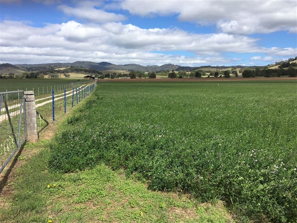 931 'Mullamuddy Farm' Castlereagh Highway, Mudgee, NSW 2850, Mudgee - Thumbnail 5