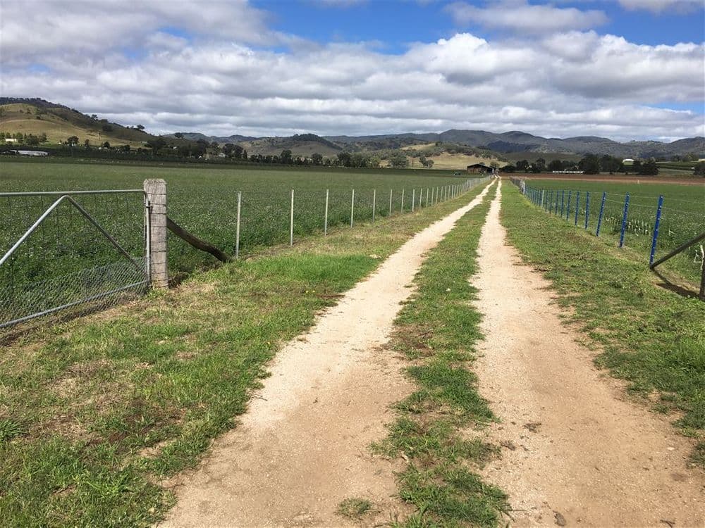 931 'Mullamuddy Farm' Castlereagh Highway, Mudgee, NSW 2850, Mudgee - Thumbnail 6