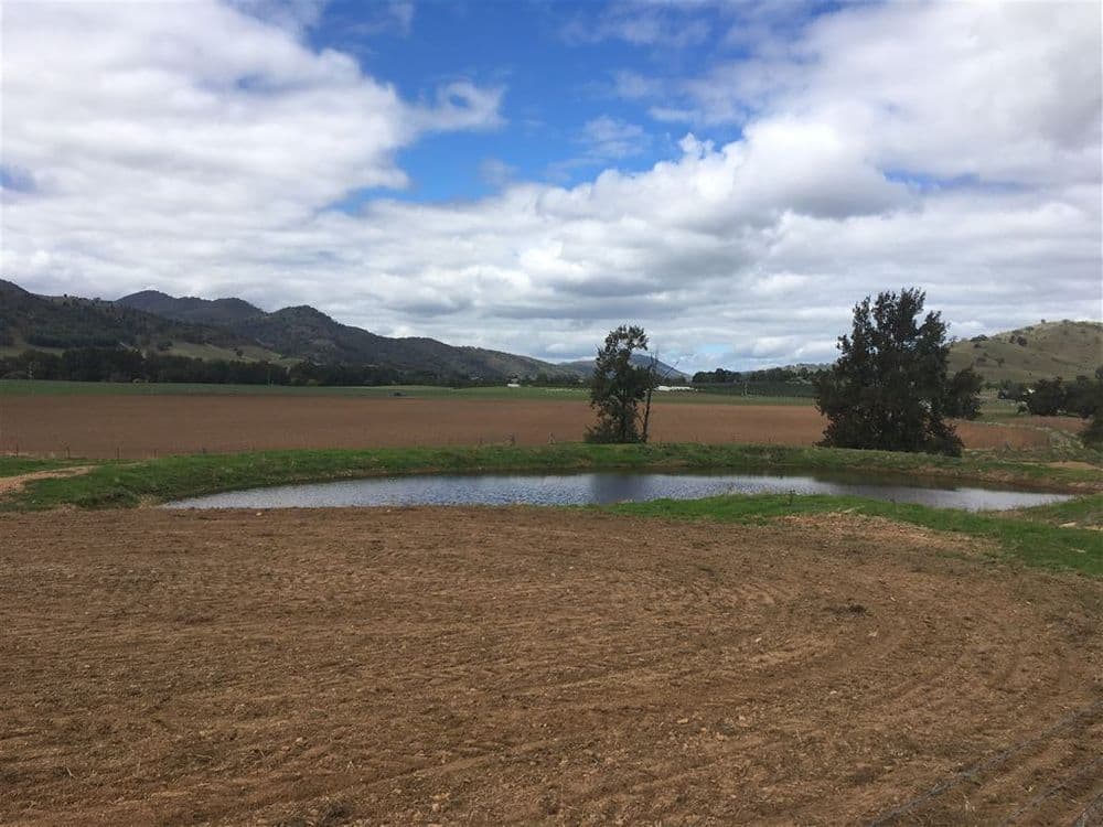 931 'Mullamuddy Farm' Castlereagh Highway, Mudgee, NSW 2850, Mudgee - Thumbnail 7