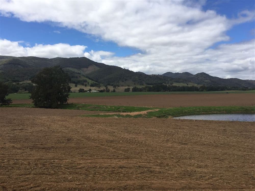 931 'Mullamuddy Farm' Castlereagh Highway, Mudgee, NSW 2850, Mudgee - Thumbnail 8