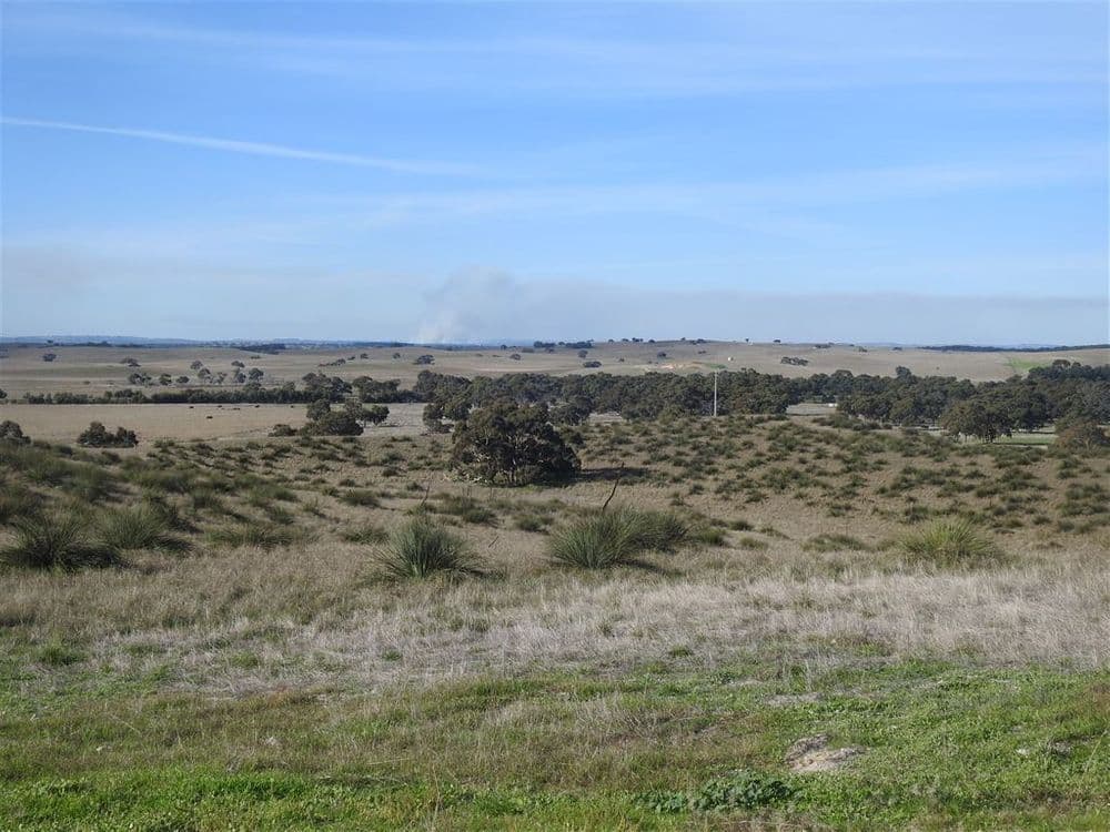 Lucindale SA, Lucindale - Thumbnail 5