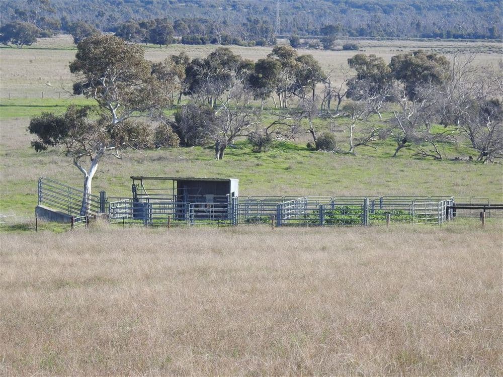 Lucindale SA, Lucindale - Thumbnail 7