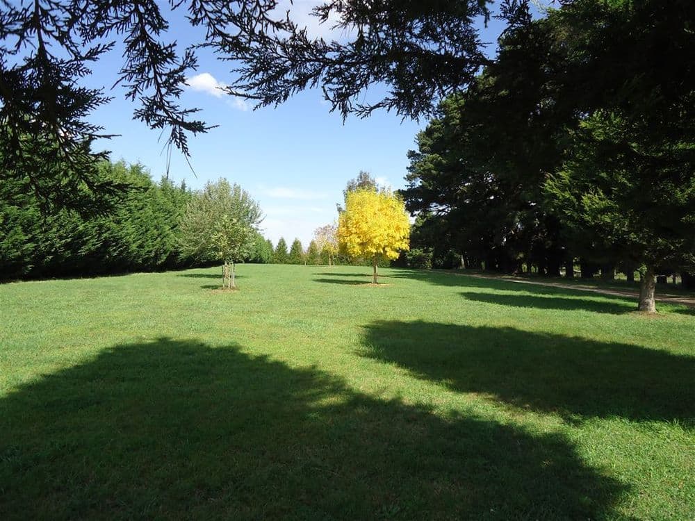 163 Old Argyle Road, Exeter, NSW, 2579, Exeter - Thumbnail 4