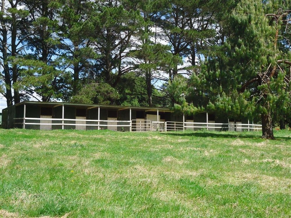 163 Old Argyle Road, Exeter, NSW, 2579, Exeter - Thumbnail 8