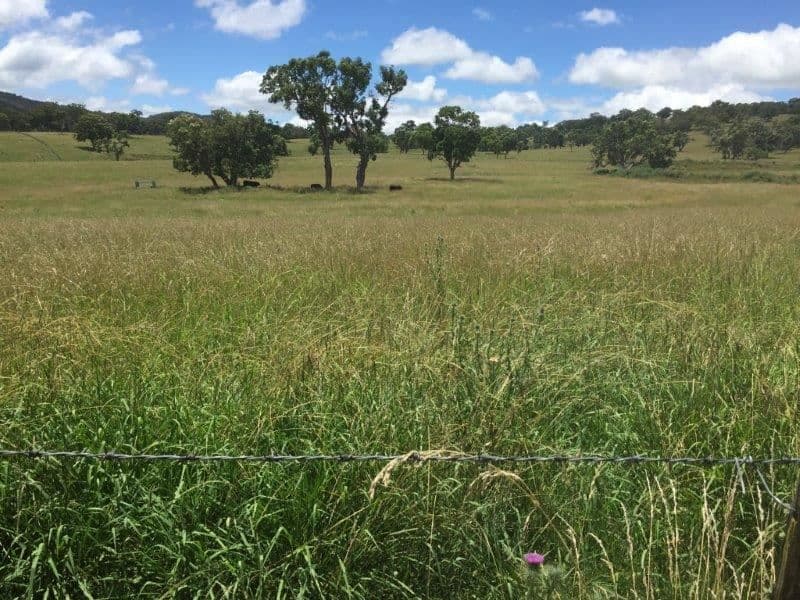 41-46 Heatherdene Rd, Stannum, NSW 2371, Stannum - Thumbnail 3