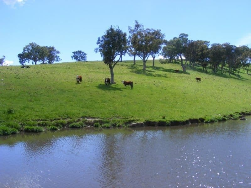 41-46 Heatherdene Rd, Stannum, NSW 2371, Stannum - Thumbnail 6