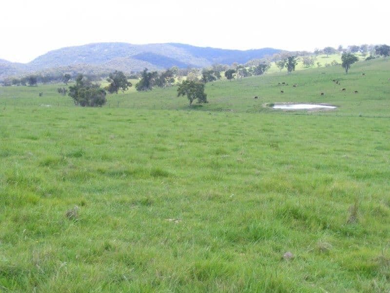 41-46 Heatherdene Rd, Stannum, NSW 2371, Stannum - Thumbnail 7