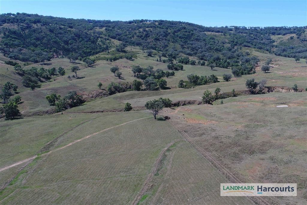 438 Riverstone Road, Upper Horton, NSW 2347, Upper Horton - Image 1