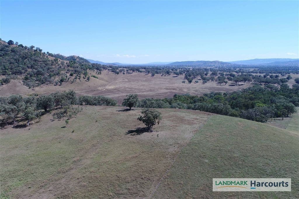 438 Riverstone Road, Upper Horton, NSW 2347, Upper Horton - Thumbnail 3