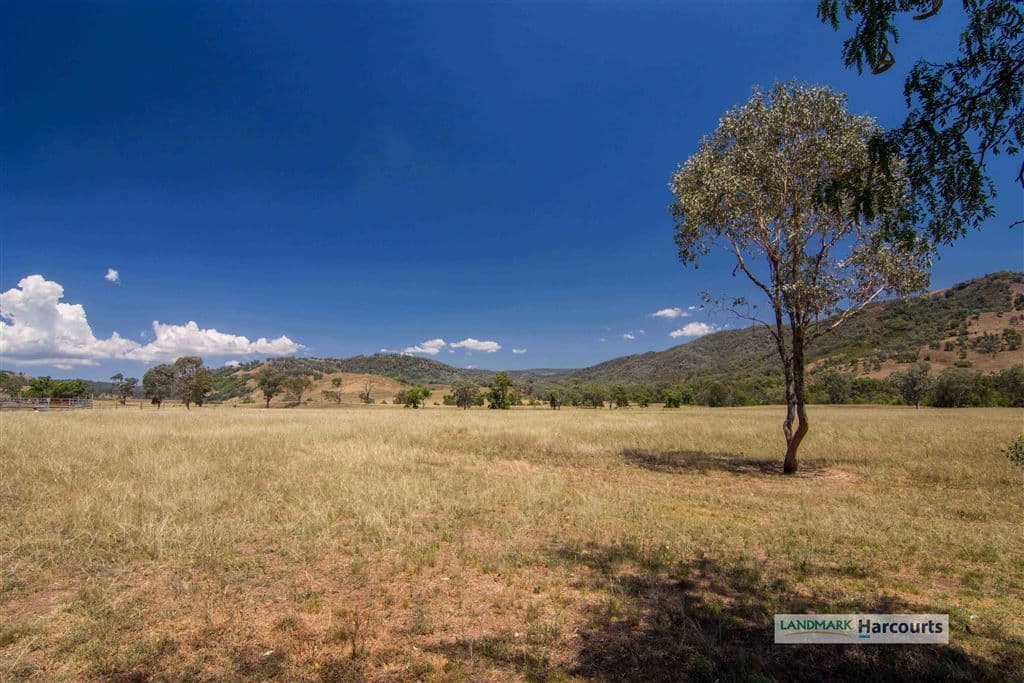 438 Riverstone Road, Upper Horton, NSW 2347, Upper Horton - Thumbnail 6
