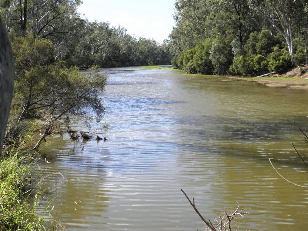 Clermont QLD, Clermont - Image 1