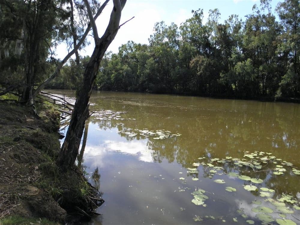 Clermont QLD, Clermont - Thumbnail 3