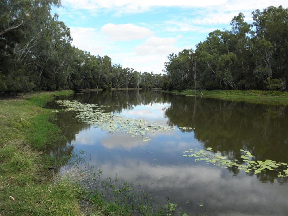 Clermont QLD, Clermont - Thumbnail 8