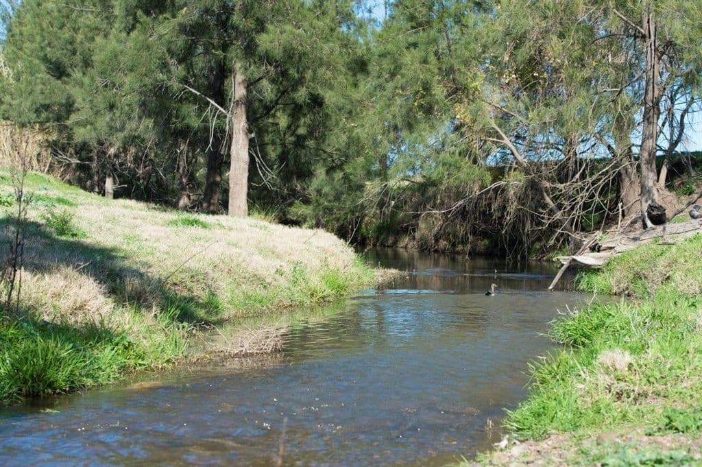 226 Dartbrook Rd, Aberdeen, NSW 2336, Aberdeen - Thumbnail 2